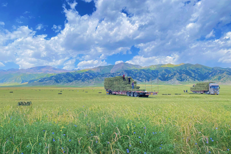 Small group standing together in a farm environment during field learning