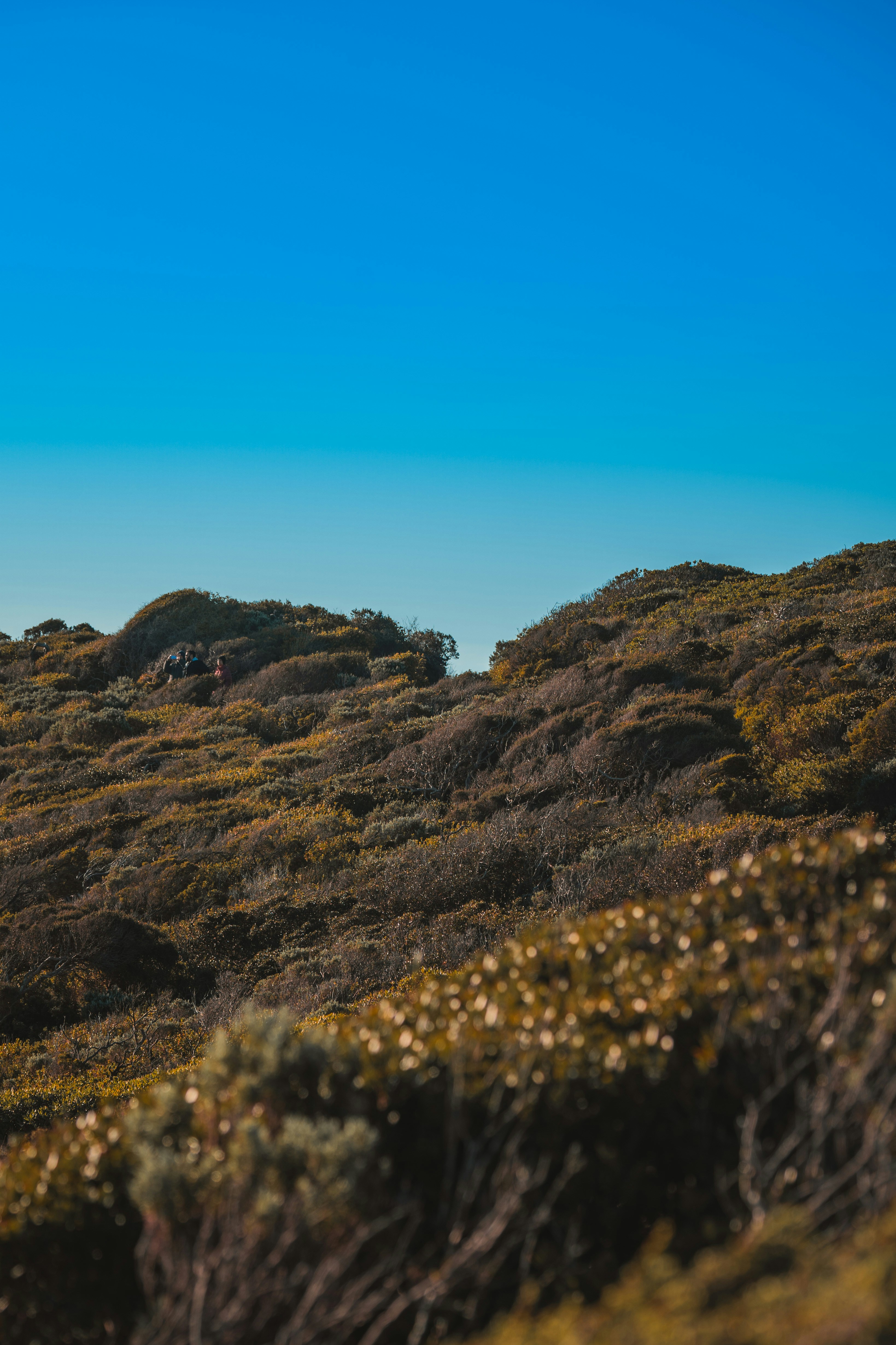 Photo by winstontjia