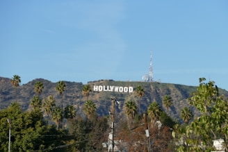 a sign on a hill
