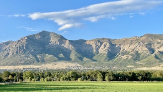 a large green field with trees and mountains in the background