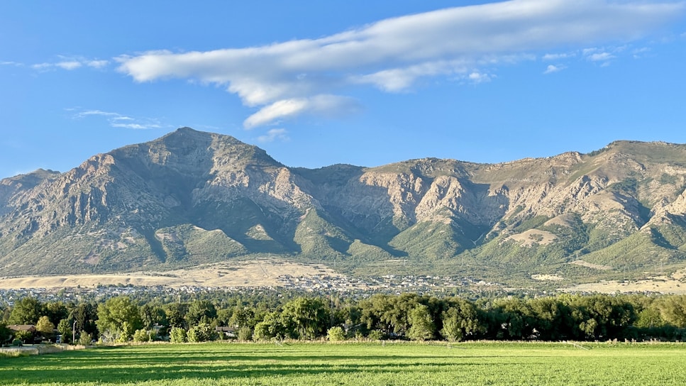 a large green field with trees and mountains in the background