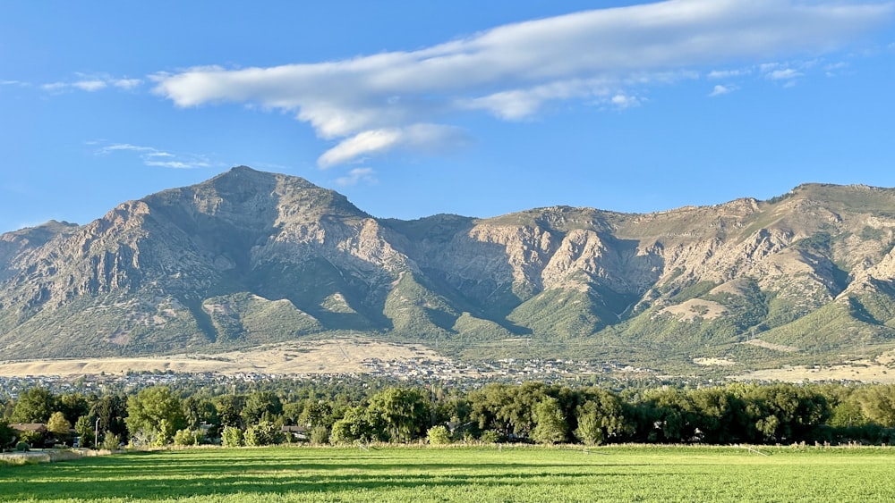 a large green field with trees and mountains in the background