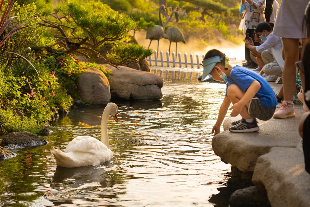 a group of people looking at a swan in a pond