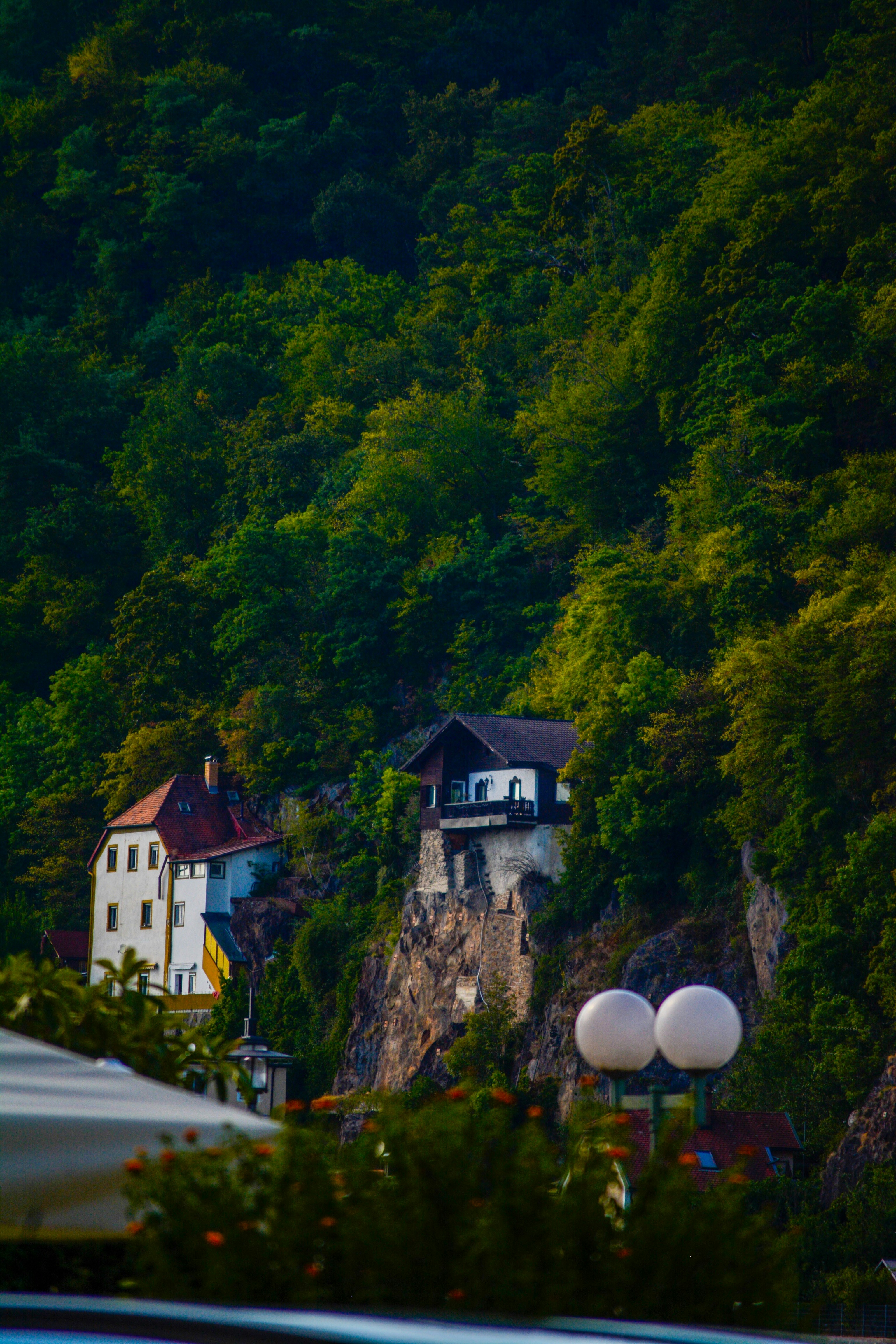 Photo by vipinyb