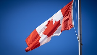 a flag on a pole