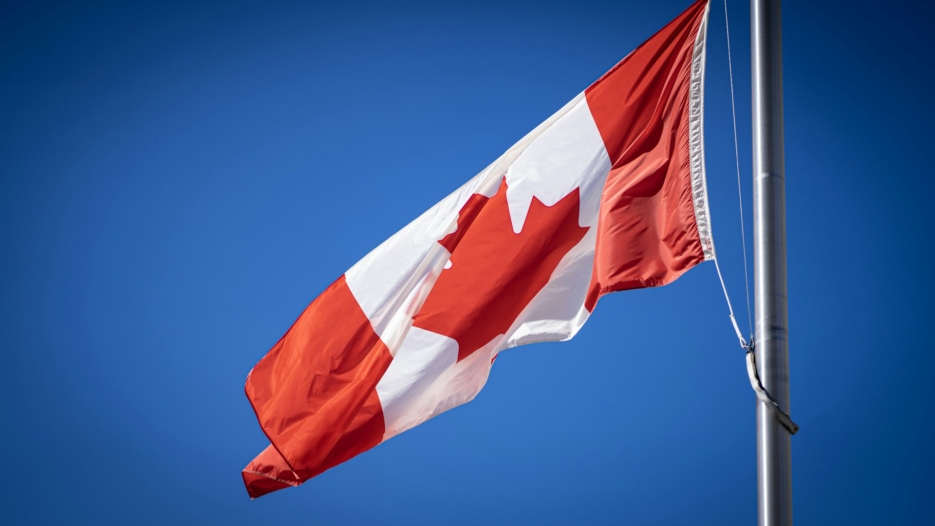 a flag on a pole