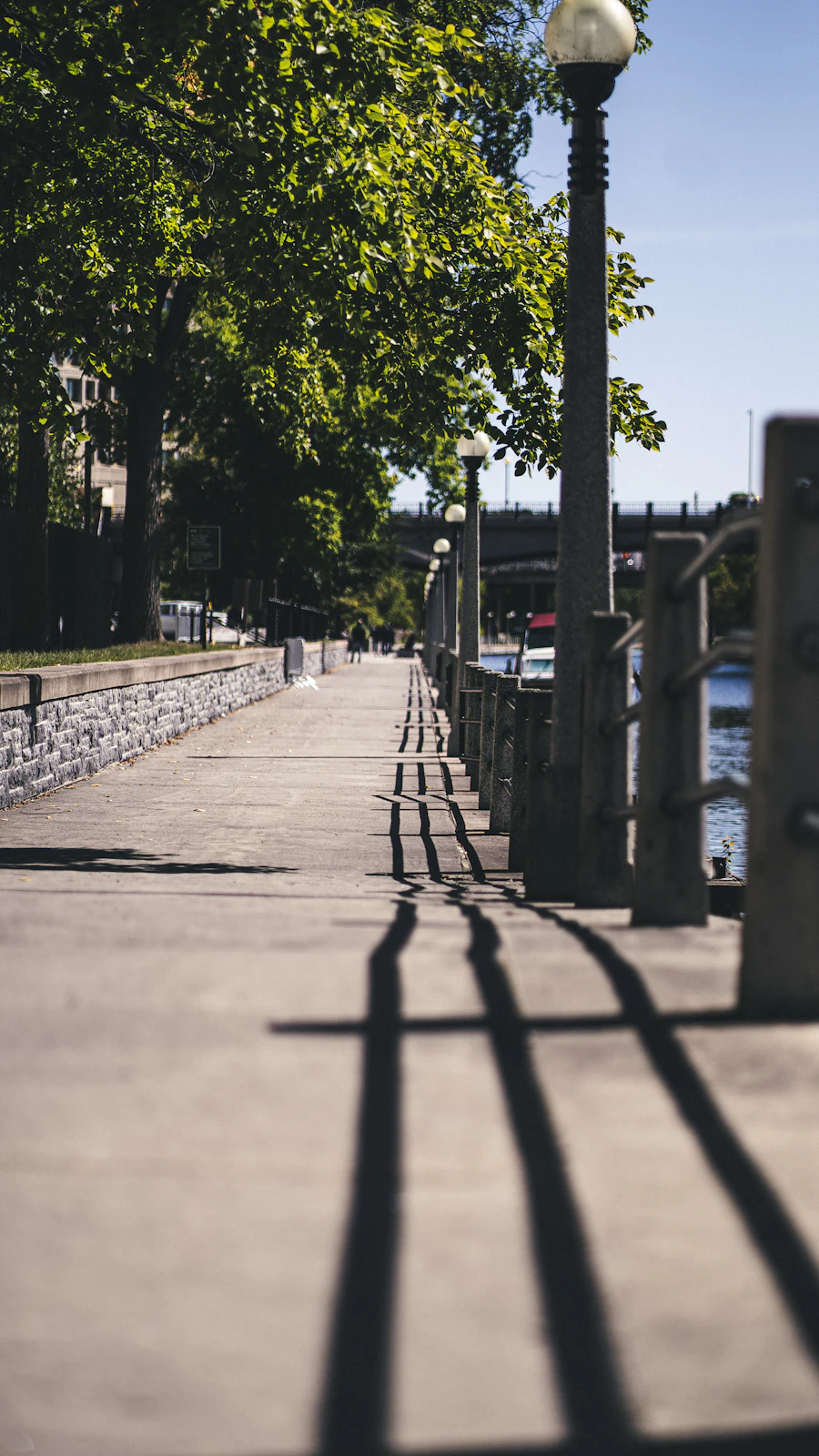 Sunlit walking path lined with trees beside the Rideau Canal in Ottawa, a relaxed spot to meet after chatting on free dating sites Ottawa singles use