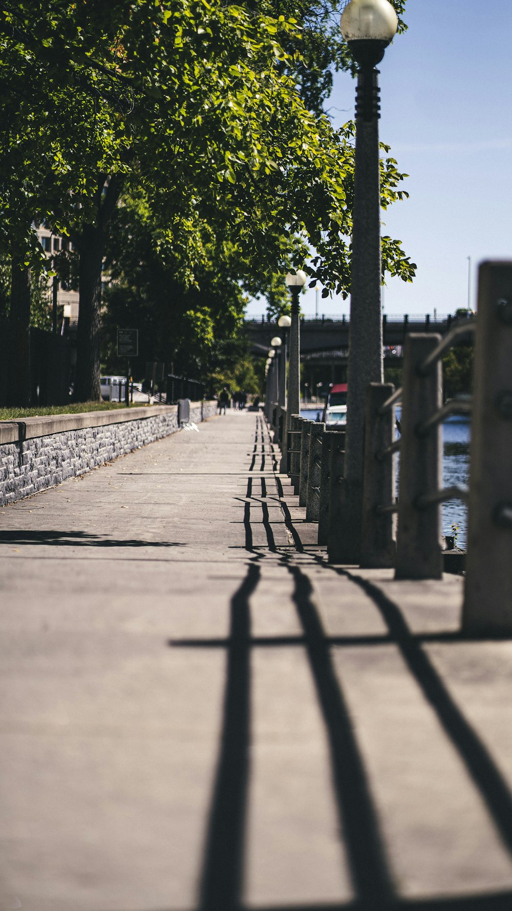 a walkway with a lamp post and trees on the side