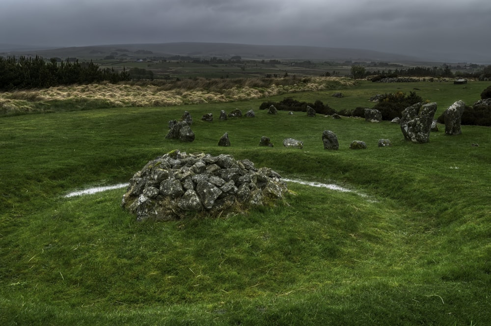 a grassy field with rocks