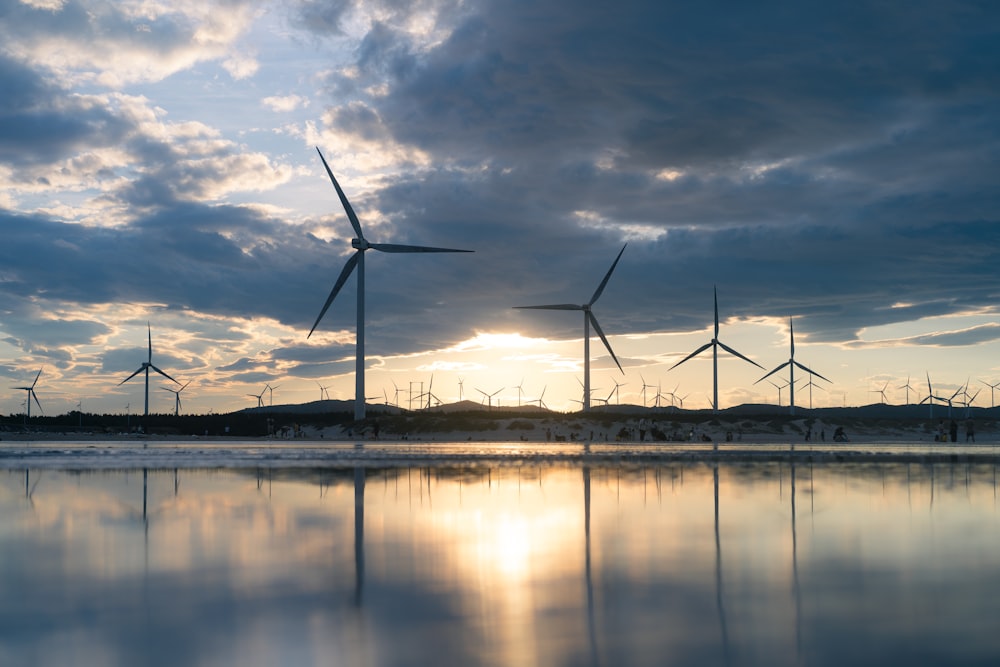 a group of wind turbines by a body of water