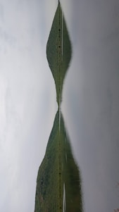 A serene landscape symbolizing harmony and alignment.