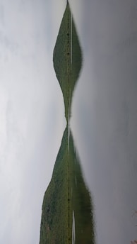 A serene landscape symbolizing harmony and balance.