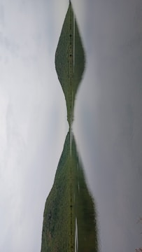 A serene landscape symbolizing emotional balance.