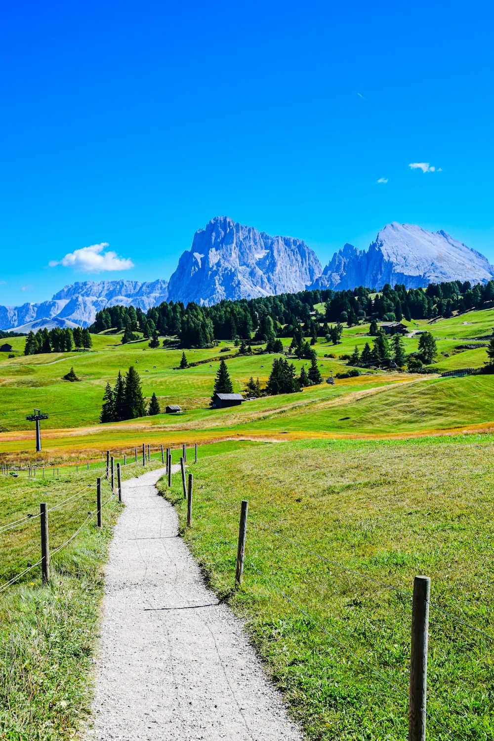 a dirt road leading to a mountain