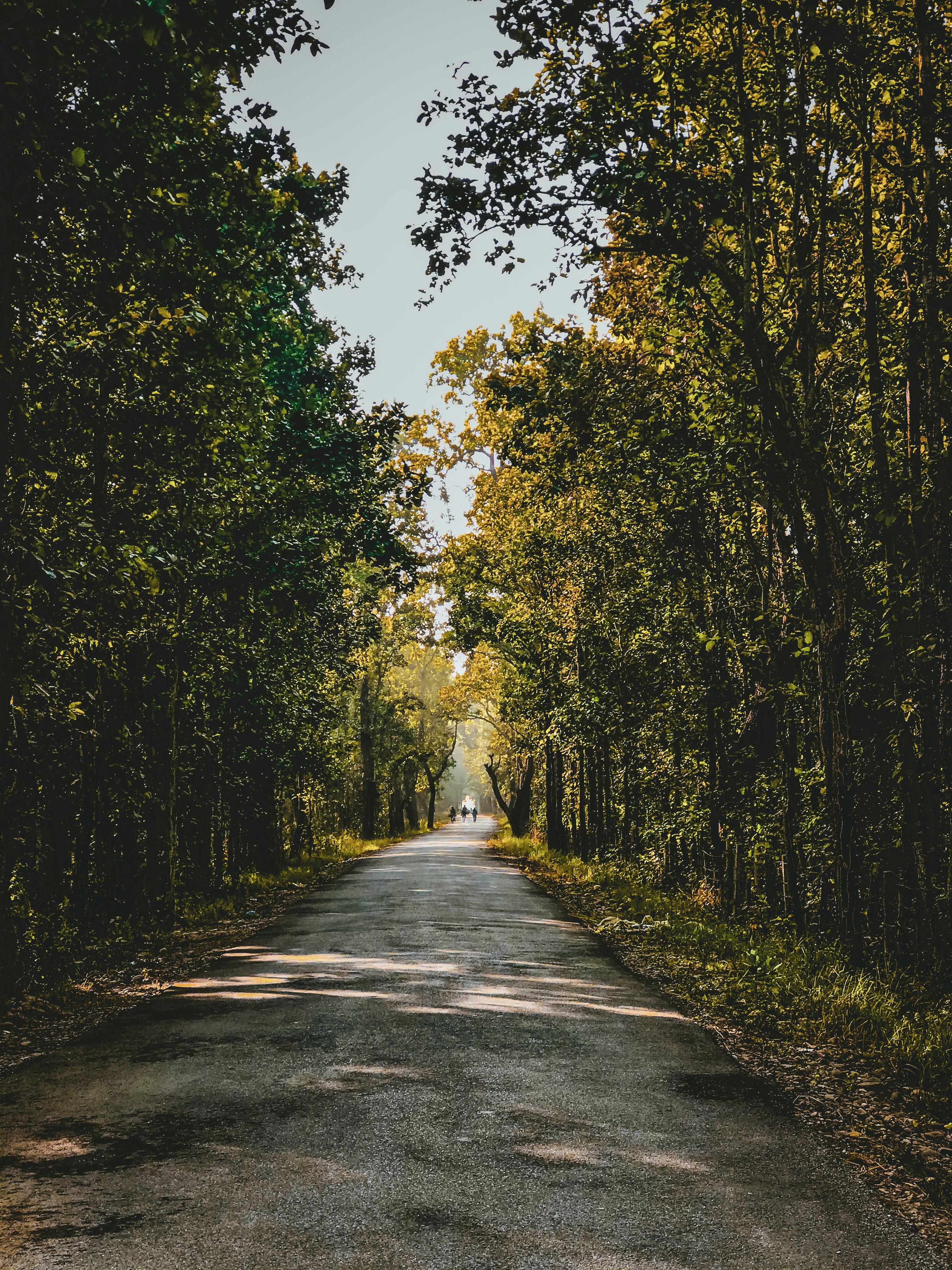 Photo by manishcreate