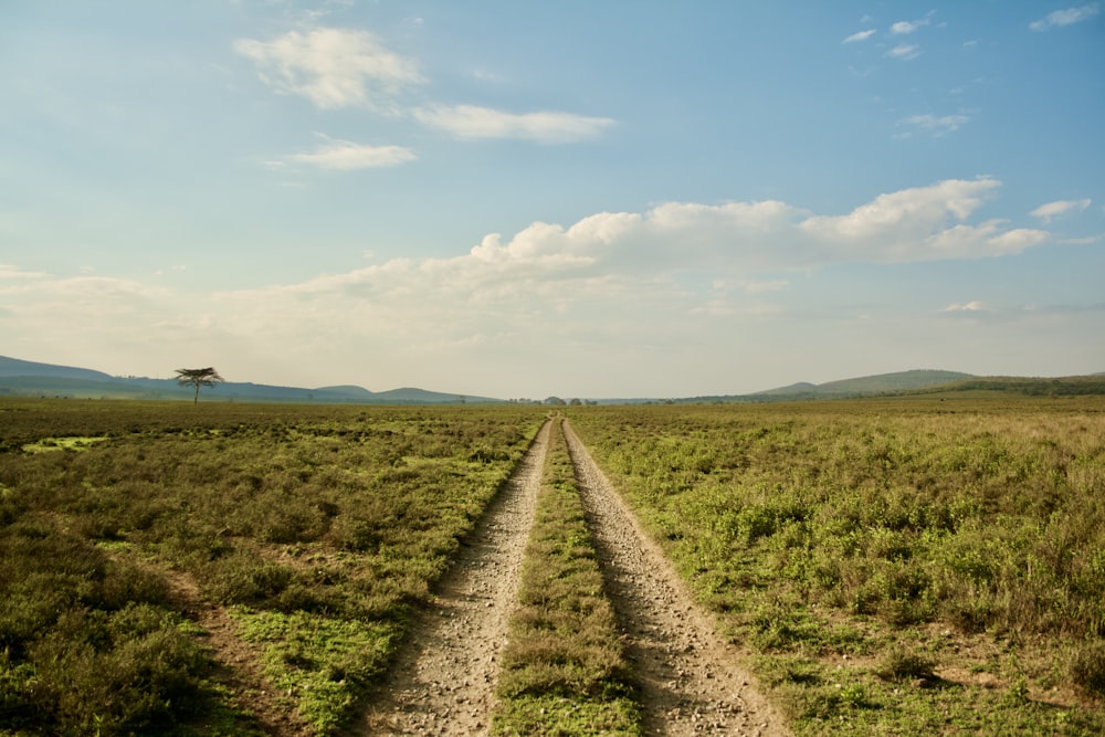 a dirt road in a field