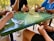 A group of friends enjoying a card game around a table, with vibrant colors and expressions of excitement.