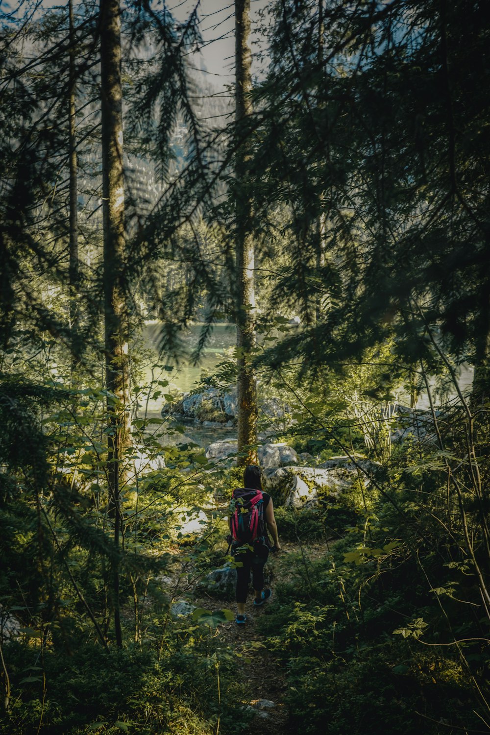 Eine Person, die durch einen Wald geht