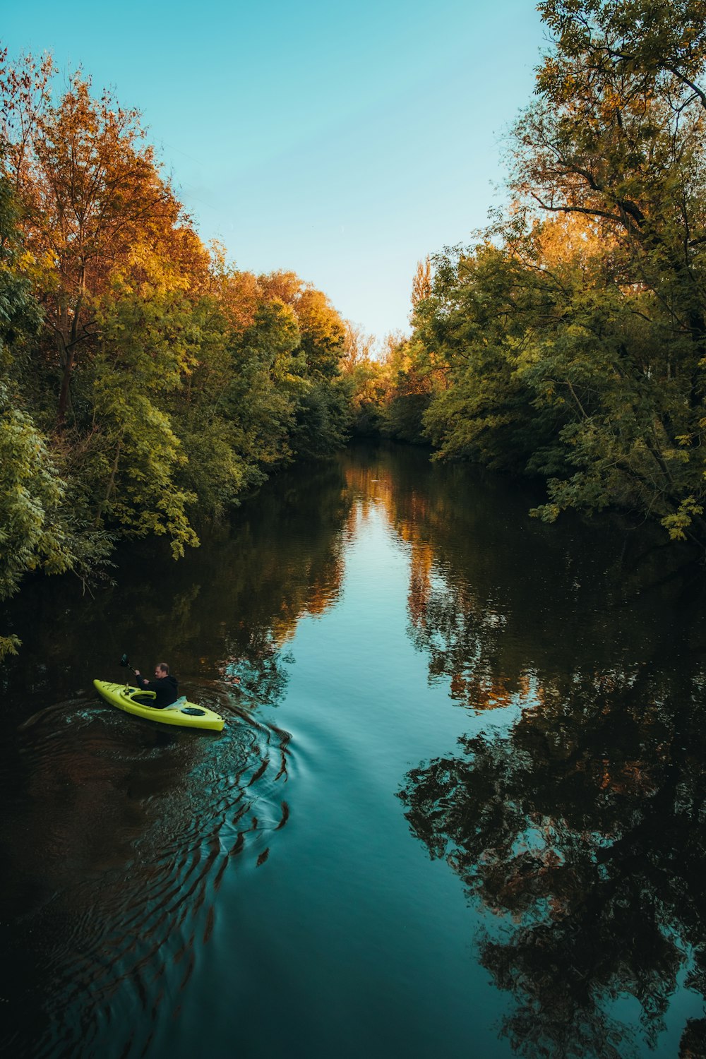 a group of people in a canoe on a river surrounded by trees