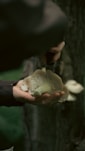 a person holding a mushroom