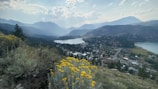Panoramic view of Villa Guerrero's flower farms with mountains in the background