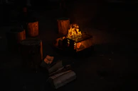 A campfire burns brightly in a fire pit with a metal grill on top, surrounded by logs used as seating. Several pieces of firewood are scattered nearby on the ground.