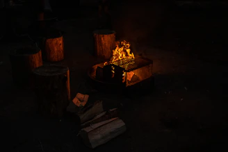 A campfire burns brightly in a fire pit with a metal grill on top, surrounded by logs used as seating. Several pieces of firewood are scattered nearby on the ground.