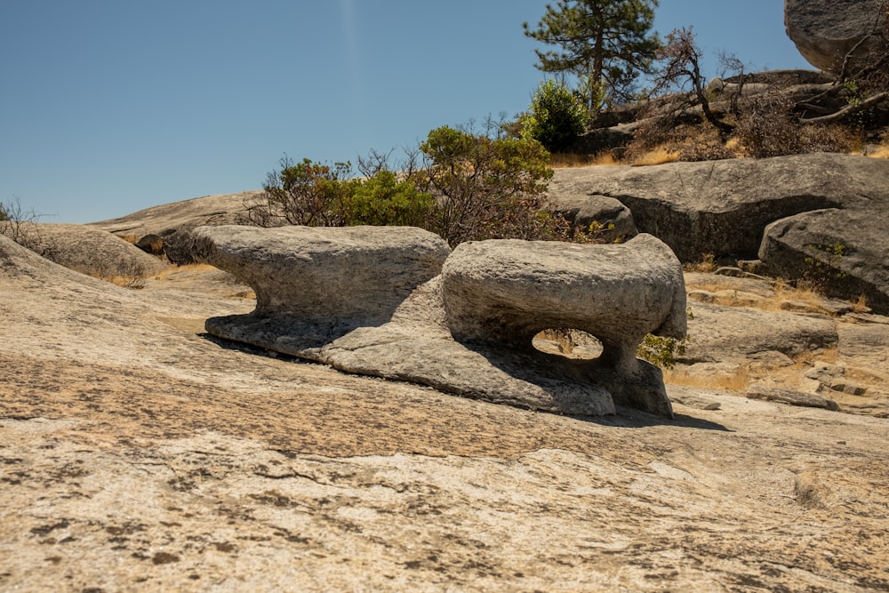 a group of rocks in a sandy area