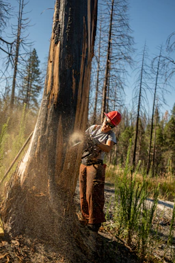 A professional tree service worker in safety gear trimming a large fallen tree branch during an emergency.
