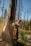 A person wearing a red hard hat and protective gear is using a chainsaw to cut down a large tree. The background contains a forest with tall, barren trees and some greenery around the ground.