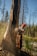 A person wearing a red hard hat and protective gear is using a chainsaw to cut down a large tree. The background contains a forest with tall, barren trees and some greenery around the ground.