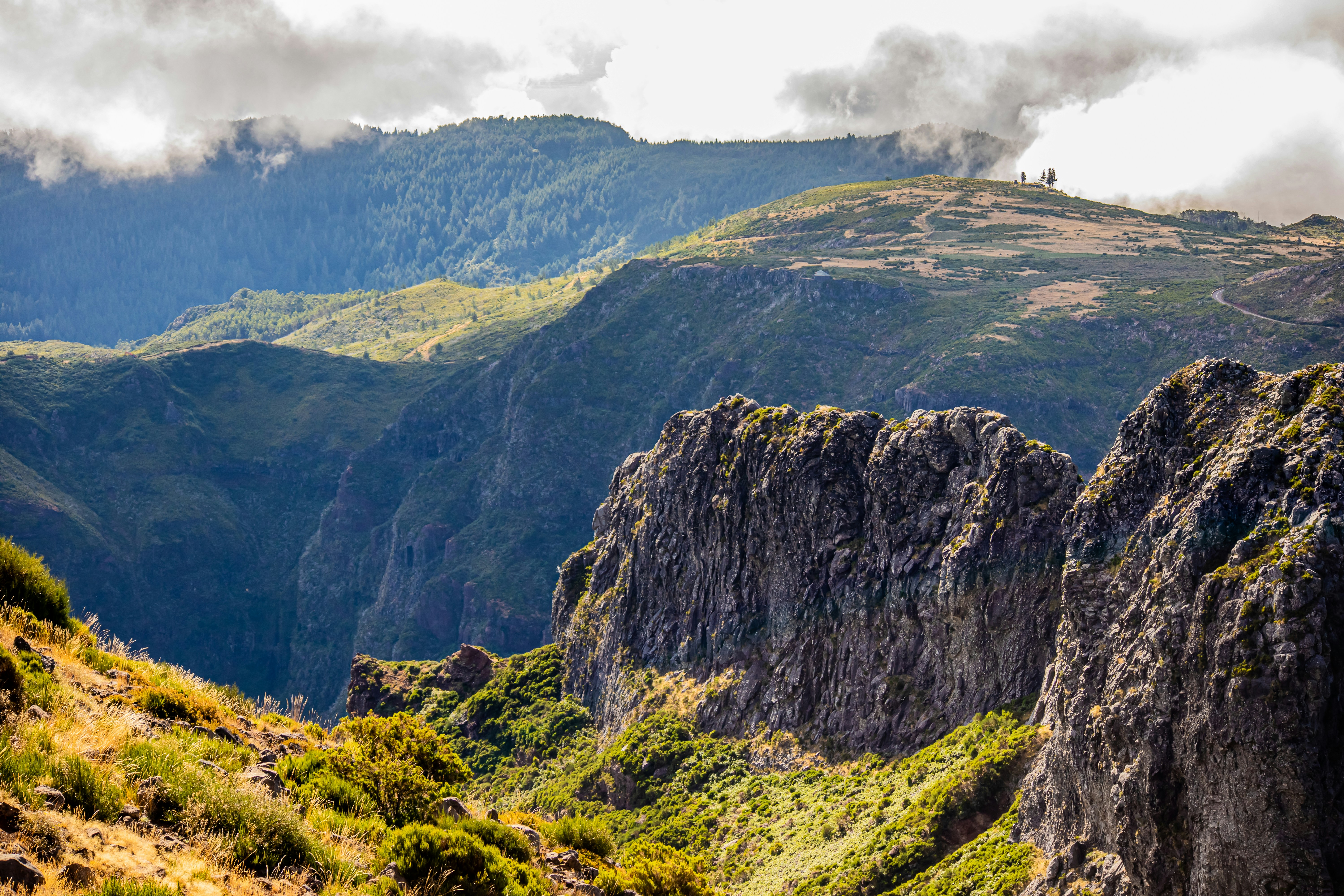 Photo by wendell_adriel