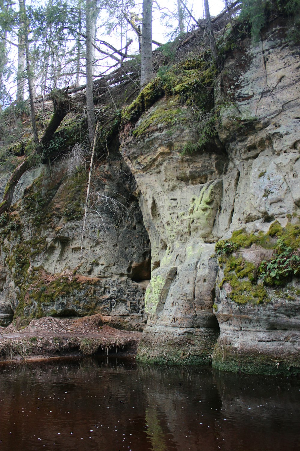 un fiume con una parete rocciosa e alberi