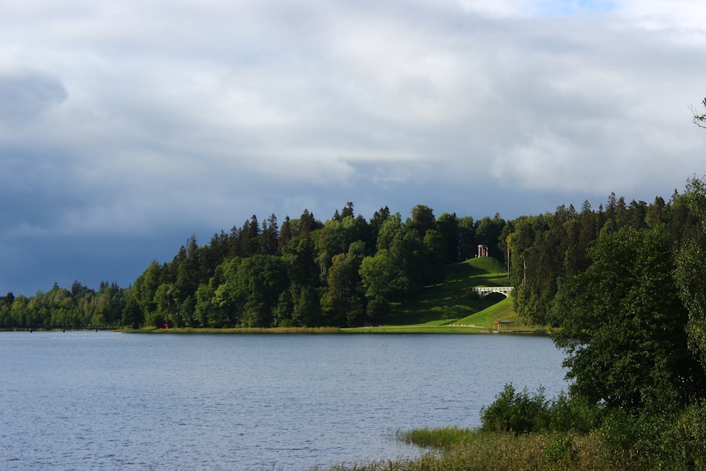 a body of water with trees around it