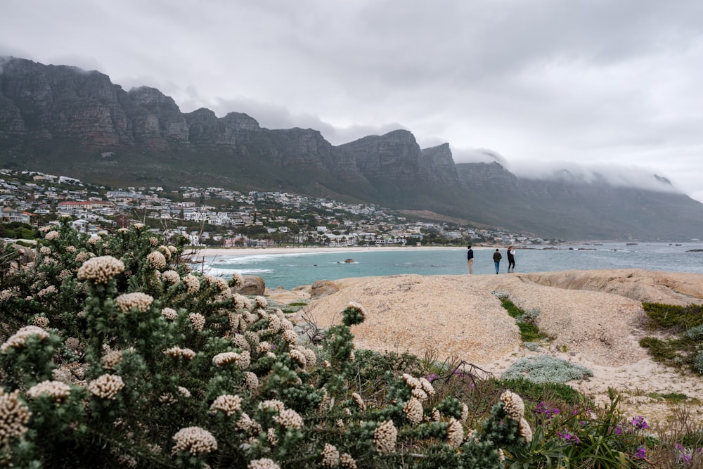 personnes se promenant sur une plage