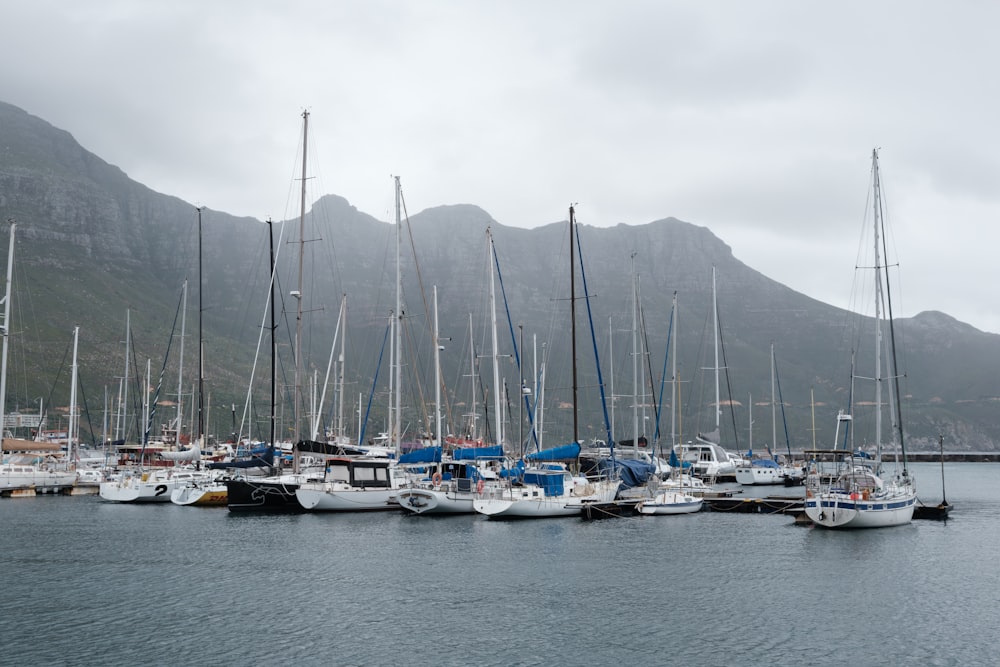 a group of boats in a harbor