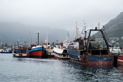 Several fishing boats are docked side by side in a harbor with cloudy mountains in the background. The boats vary in size and color, with notable shades of red, blue, and white. The sky is overcast, contributing to a calm and slightly dreary atmosphere.