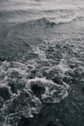 a wave in the ocean