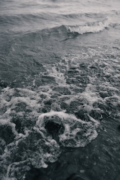 a wave in the ocean