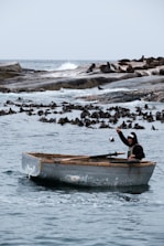 a person in a boat in the water with a bunch of birds