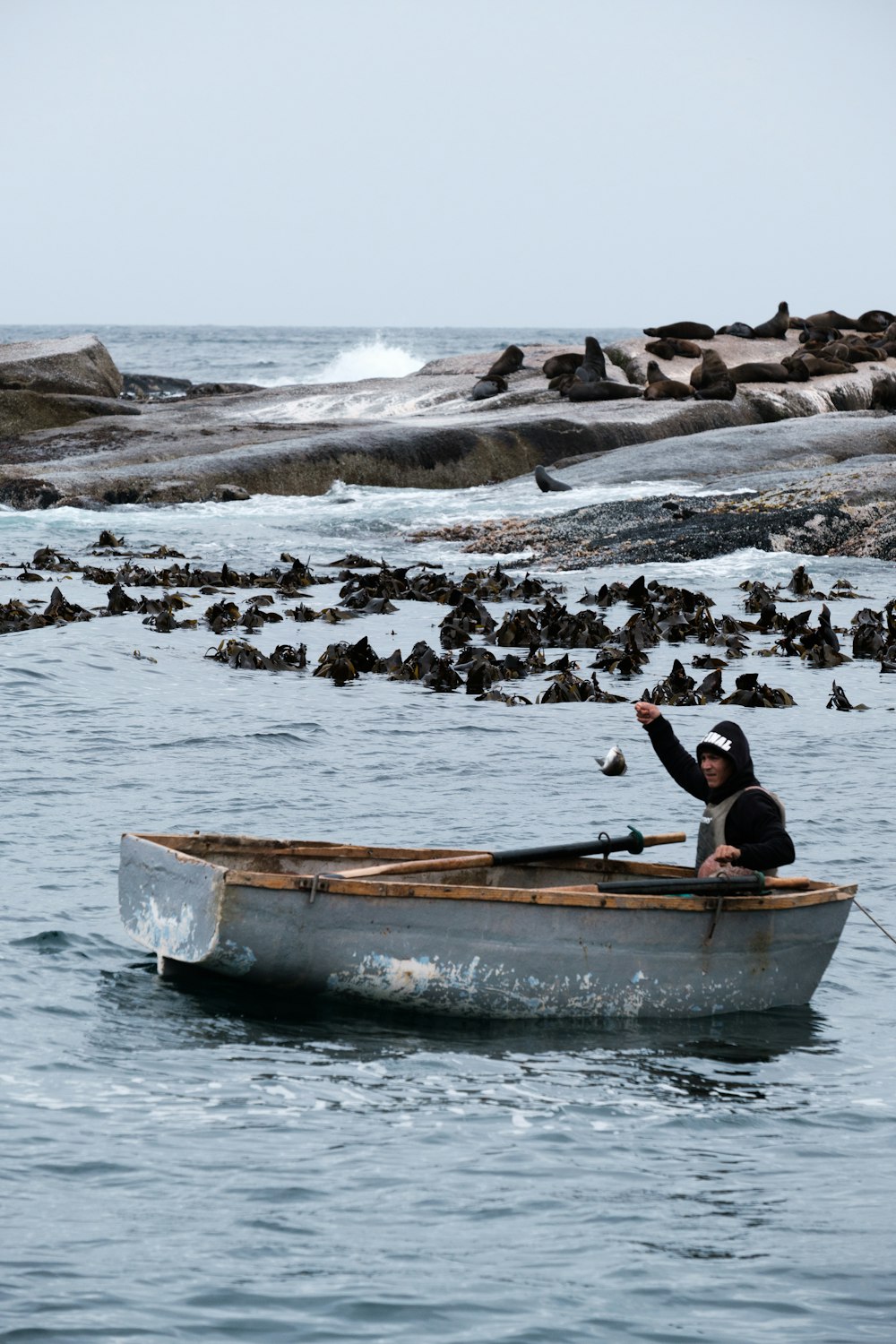 a person in a boat in the water with a bunch of birds