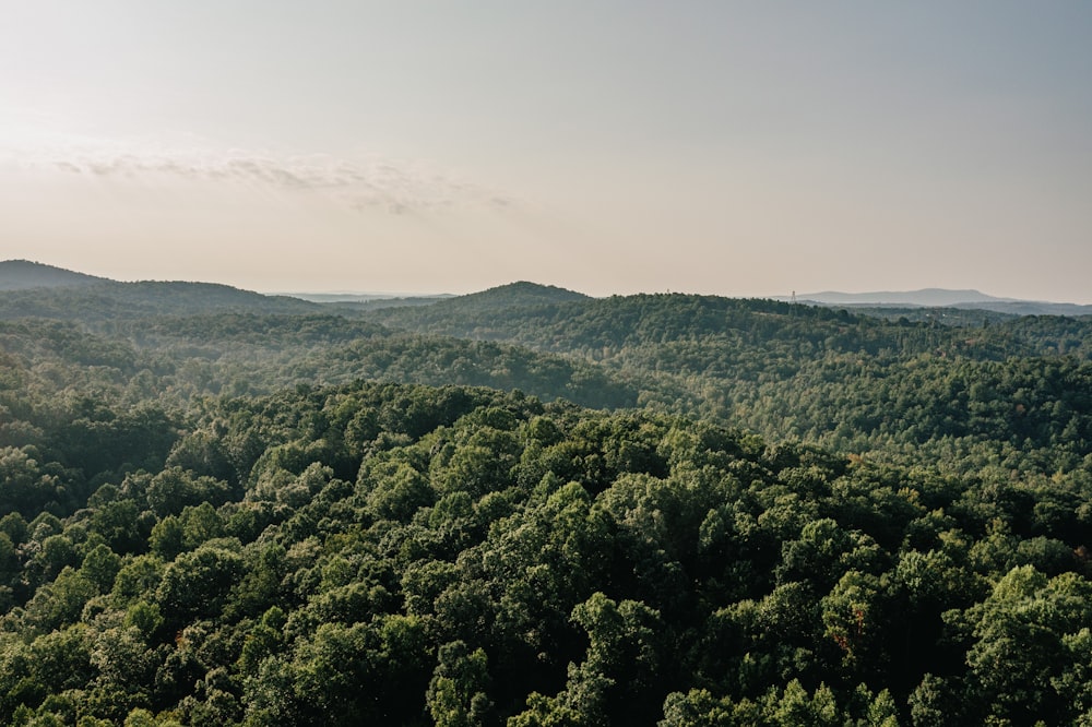 a landscape with trees and hills in the back