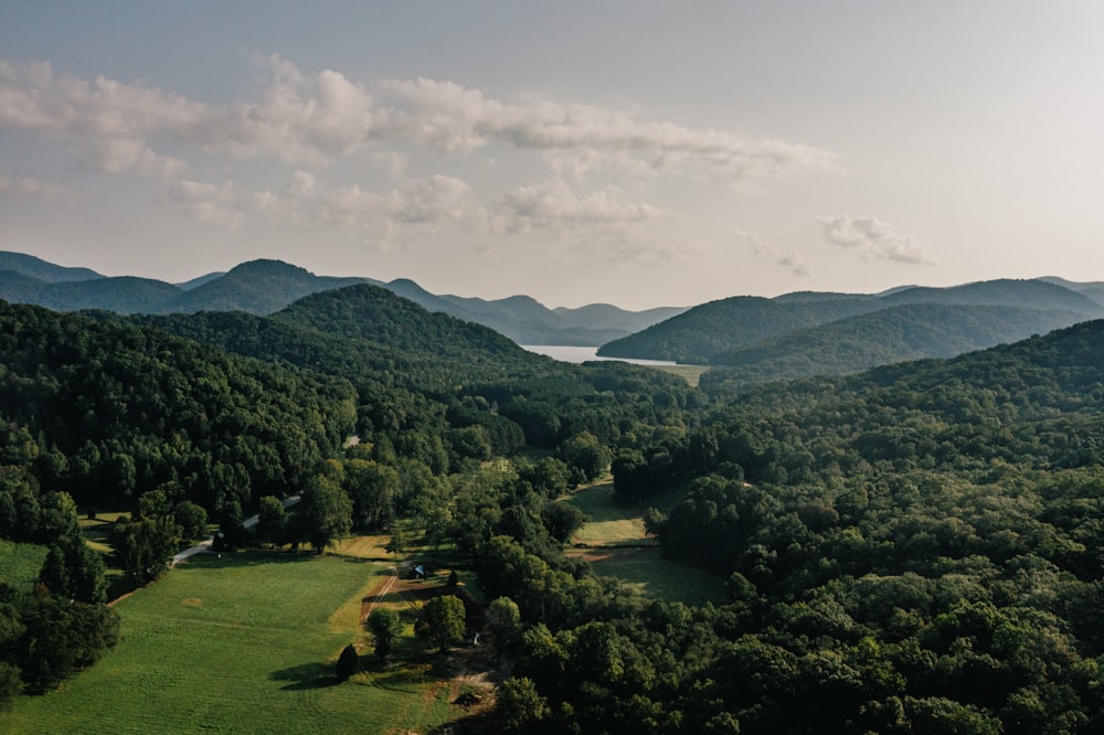 a landscape with trees and hills