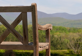 a wooden fence overlooking a forest