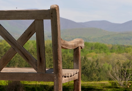 a wooden fence overlooking a forest