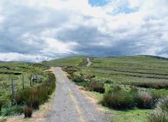 a dirt road in a grassy area