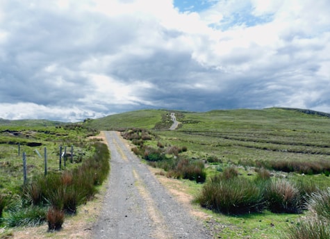 a dirt road in a grassy area