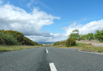 a road with trees on the side