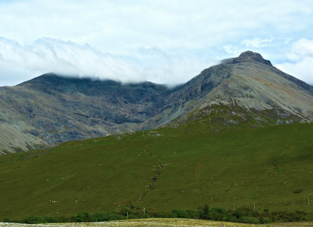 a grassy valley with mountains in the background