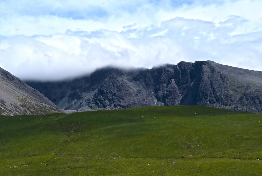 a grassy field with mountains in the background